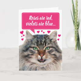 Anpassadet "Mine Coon Cat" Kort