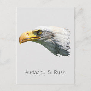 anpassadet örn Audacity & Rush Vykort