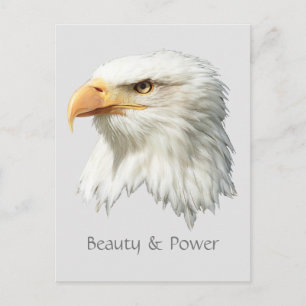 anpassadet Örn Beauty & Power Vykort