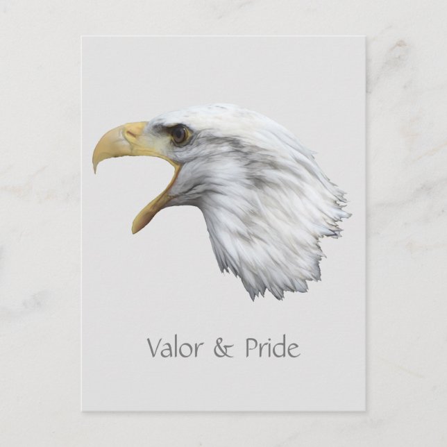 anpassadet örn-värde och Pride Vykort (Framsida)