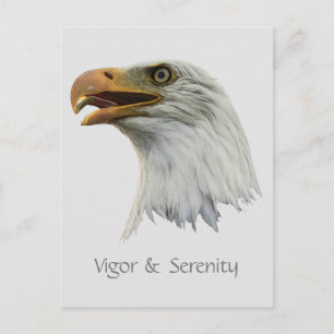 anpassadet örn Vigor & Serenity Vykort