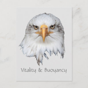 anpassadet örn Vitality & Buoyancy Vykort