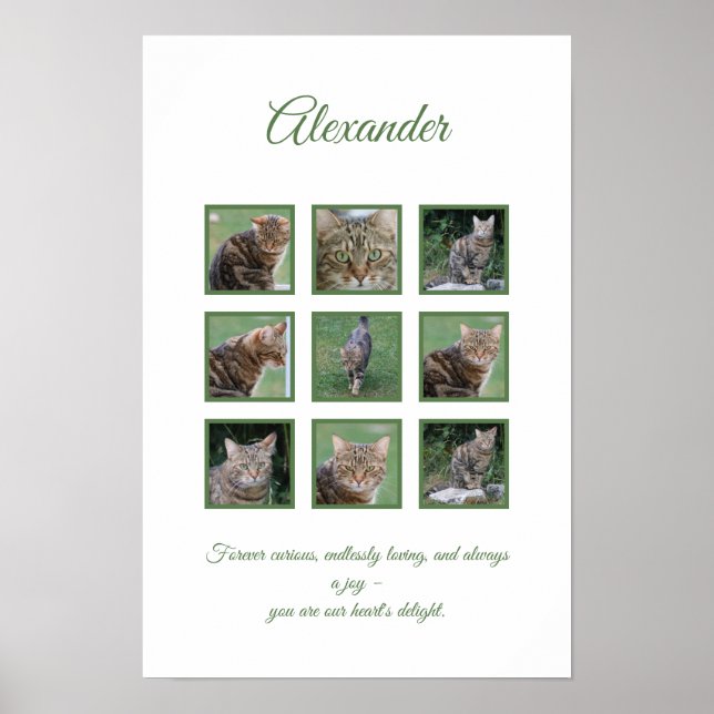 Anpassadet Pet Firande Poster (Framsidan)