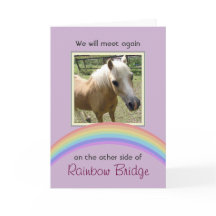 Anpassadet Rainbow Bridge Pet Memorial