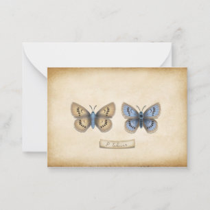 Anpassadet Scarce Large Blue Butterfly Specimen Anteckningskort