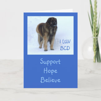 Anpassadet "service, hopp, tror" kortet kort