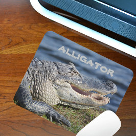 Anpassadet Smiling American Alligator Wildlife Musmatta