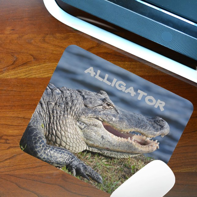 Anpassadet Smiling American Alligator Wildlife Musmatta (Skapare uppladdad)