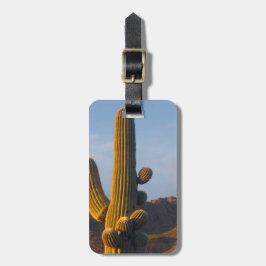 Anpassadet Sunlit Saguaro Cactus Bagagebricka