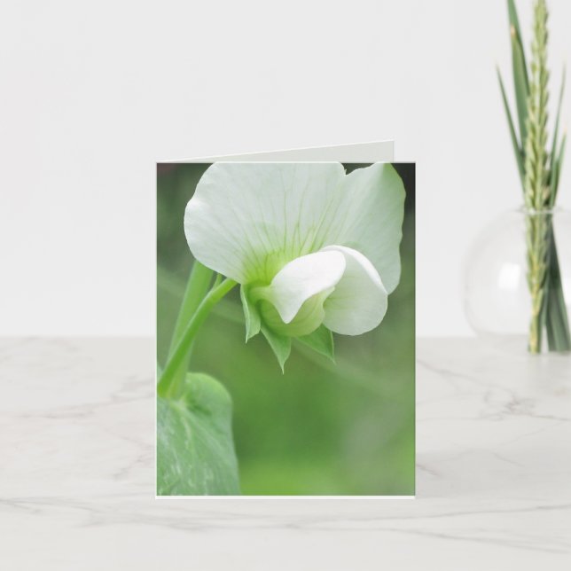 Anpassadet Sympathy Greeting Card-mall Kort (Framsida)