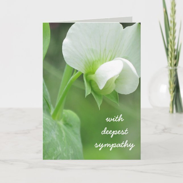 Anpassadet Sympathy Greeting Card-mall Kort (Framsida)