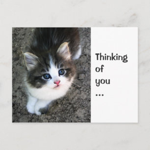 Anpassadet "Thinking of you" kan anpassas Vykort