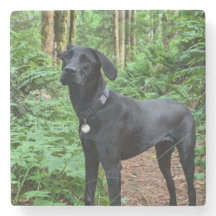 Anpassadet Underlägg! Sitt och ställ på valpen