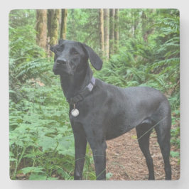 Anpassadet Underlägg! Sitt och ställ på valpen Stenunderlägg