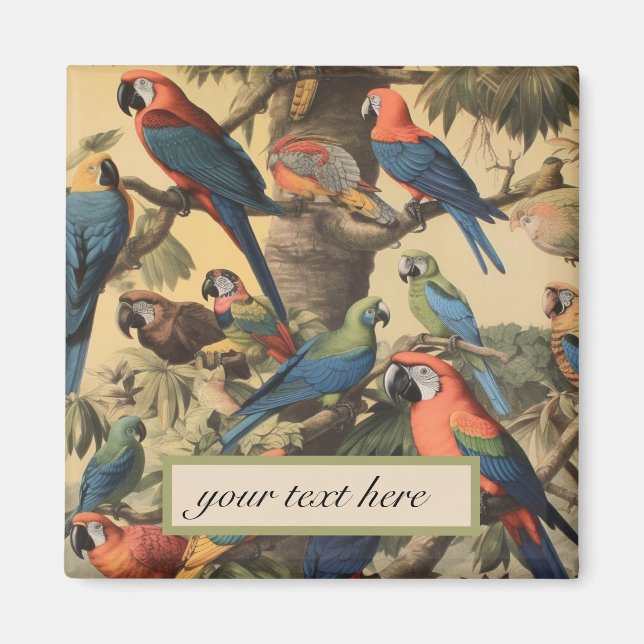 anpassadet vintage botaniska scenparroter magnet (Framsidan)
