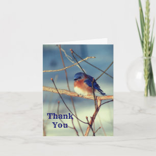 Anpassadet Winter Bluebird Nature (Vinterblåfågeln Tack Kort