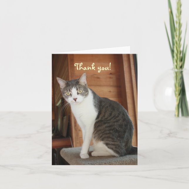 Anpassadetack Tack Kort (Framsida)