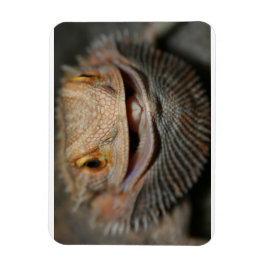 Anpassadets böjda drake magnet