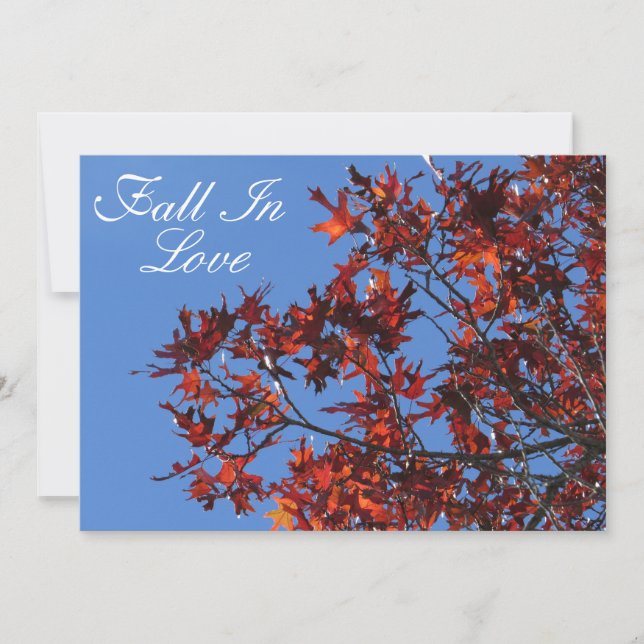 Anpassadets fullständiga inbjudan (Framsida)