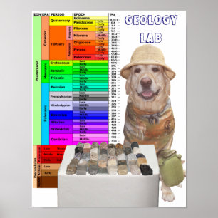 Anpassadets geologi Poster
