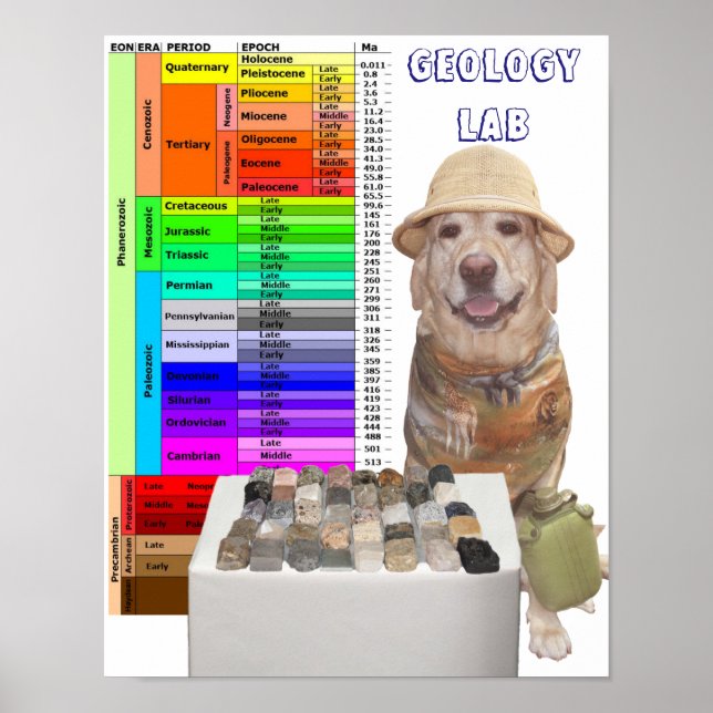 Anpassadets geologi Poster (Framsidan)
