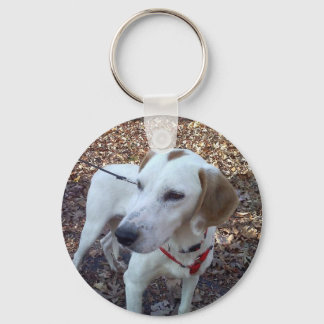 Anpassadets Nyckelring