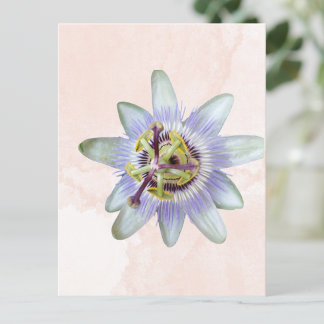 Anpassadets passionsblomma vykort