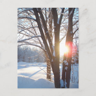 ANPASSADETS utformning för WINTER SUNRISE Vykort