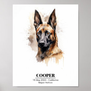 Anpassadets vattenfärgsfärg på Malinois Poster