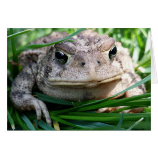 Anpassadets verktygskort hälsningskort