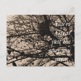 Anpassadets vykortsfoto vykort