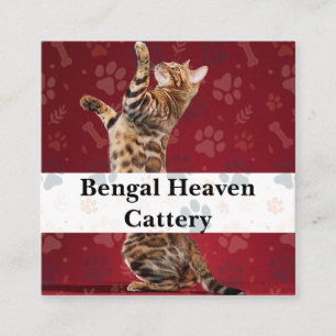 Anpassat Bengal Heaven Cattery Affärskort Fyrkantigt Visitkort