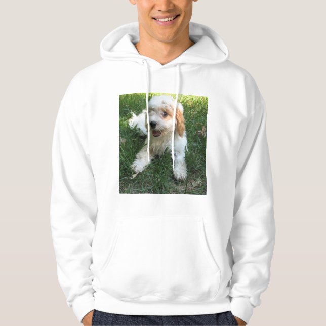 Anpassat Cavachon-foto, Hund Hoodie (Framsida)