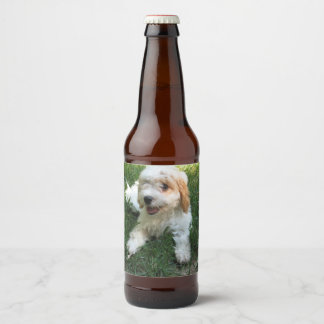 Anpassat Cavachon-foto, Hund Ölflaska Etikett