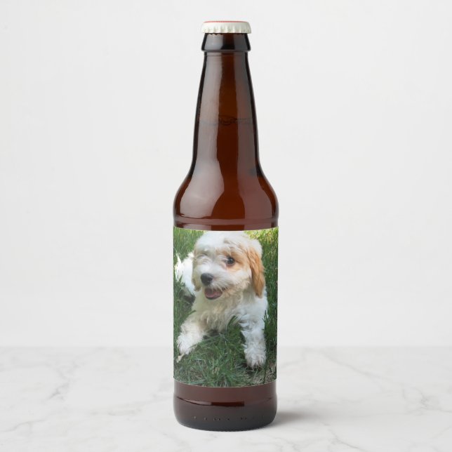 Anpassat Cavachon-foto, Hund Ölflaska Etikett (Framsida)