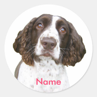 Anpassat namn: English Springer Spain Stickers Runt Klistermärke