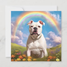 Anpassat namn för American Bulldog Rainbow Bridge