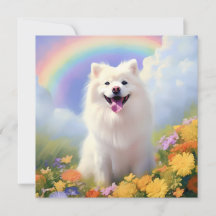 Anpassat namn för American Eskimo Hund Rainbow Bri