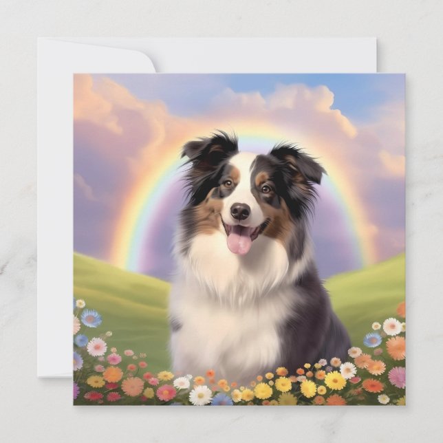Anpassat namn för Australian shepherd Rainbow Brid (Framsida)
