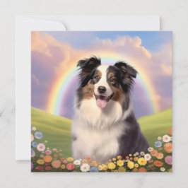 Anpassat namn för Australian shepherd Rainbow Brid