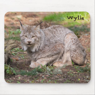 Anpassat namn för Canada Lynx Nature Älskare Musmatta