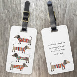 Anpassat namn för Dachshund Sause Hund Bagagebricka<br><div class="desc">Sötad liten Dachshund-korv eller wiener hundar i lygstickor. Perfekt för hundälskare och hundvalkare. Ändra kontaktinformationen på baksidan.</div>