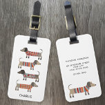 Anpassat namn för Dachshund Sause Hund Bagagebricka<br><div class="desc">Sötad liten Dachshund-korv eller wiener hundar i lygstickor. Perfekt för hundälskare,  husdjursresande och hundvalkare. Ändra namn på framsidan och kontaktuppgifter på baksidan.</div>