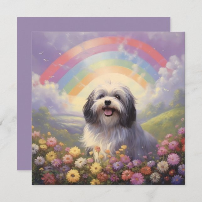 Anpassat namn för Havanese Rainbow Hund Sympathy (Fram/baksida)