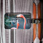 Anpassat namn för rosa av akut roligt-flamingo-fåg bagagebricka<br><div class="desc">Vem säger att flamingos inte kan ha roligt med sin favoritkompis? Njut av den här underhållande bilden när du användor den här fantastiska, färgstarka namn-bagagetaggen för fotopersonlig med två rosa flamingos som spelas upp runt. Gör en underbar gåva till din bästa vän! Skriv bara i valfri namn och du kan...</div>