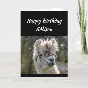 Anpassat namn Roligt Birthday Bad Hair Llama Anima Kort