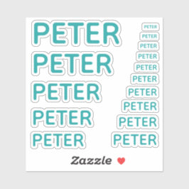 Anpassat Namn Teal 15 Storlekar Enkelt Klistermärken