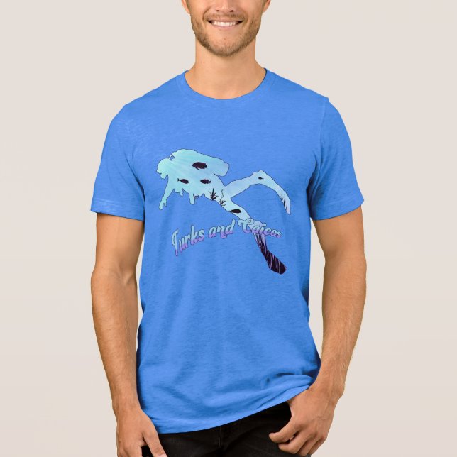 Anpassat namn Turks och Caicos Diving T Shirt (Framsida)
