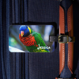 Anpassat namnskript för grönt Red Blue Lorikeet Bi Bagagebricka