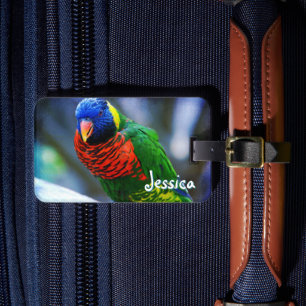 Anpassat namnskript för grönt Red Blue Lorikeet Bi Bagagebricka